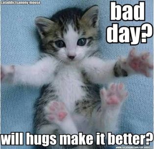 Cat Hugs